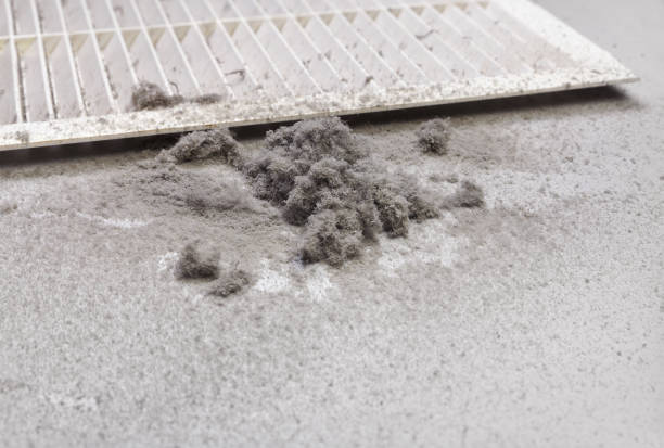 Best HVAC Duct Inspection Services  in Blue Grass, IA