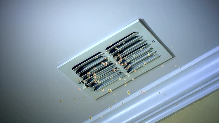 Best Air Duct Cleaning Company Near Me  in Blue Grass, IA
