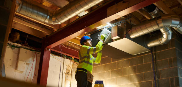 Best Air Duct Cleaning Near Me  in Blue Grass, IA