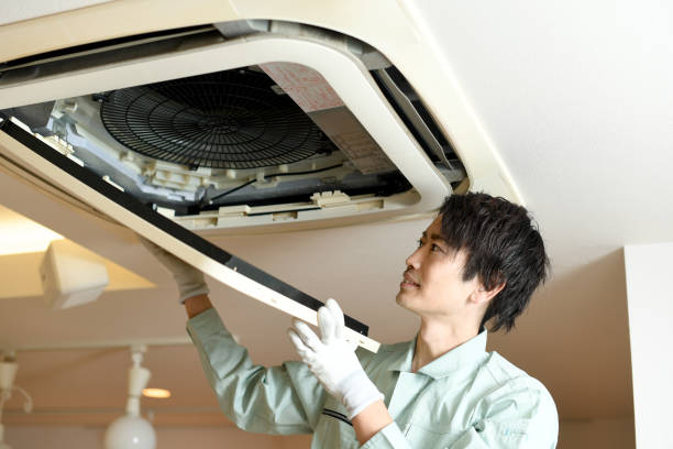 Best Affordable HVAC Duct Cleaning  in Blue Grass, IA