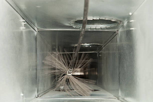 Best Air Duct Cleaning Near Me  in Blue Grass, IA