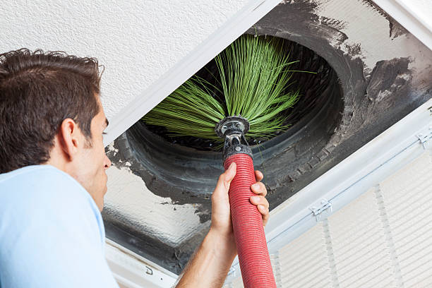 Best Home Air Vent Cleaning  in Blue Grass, IA