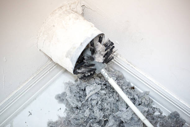 Best Local Air Duct Cleaning Services  in Blue Grass, IA