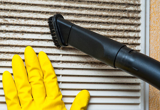 Best Commercial HVAC Duct Cleaning  in Blue Grass, IA