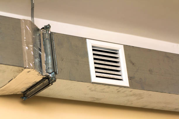 Best Professional Duct Cleaning Services  in Blue Grass, IA